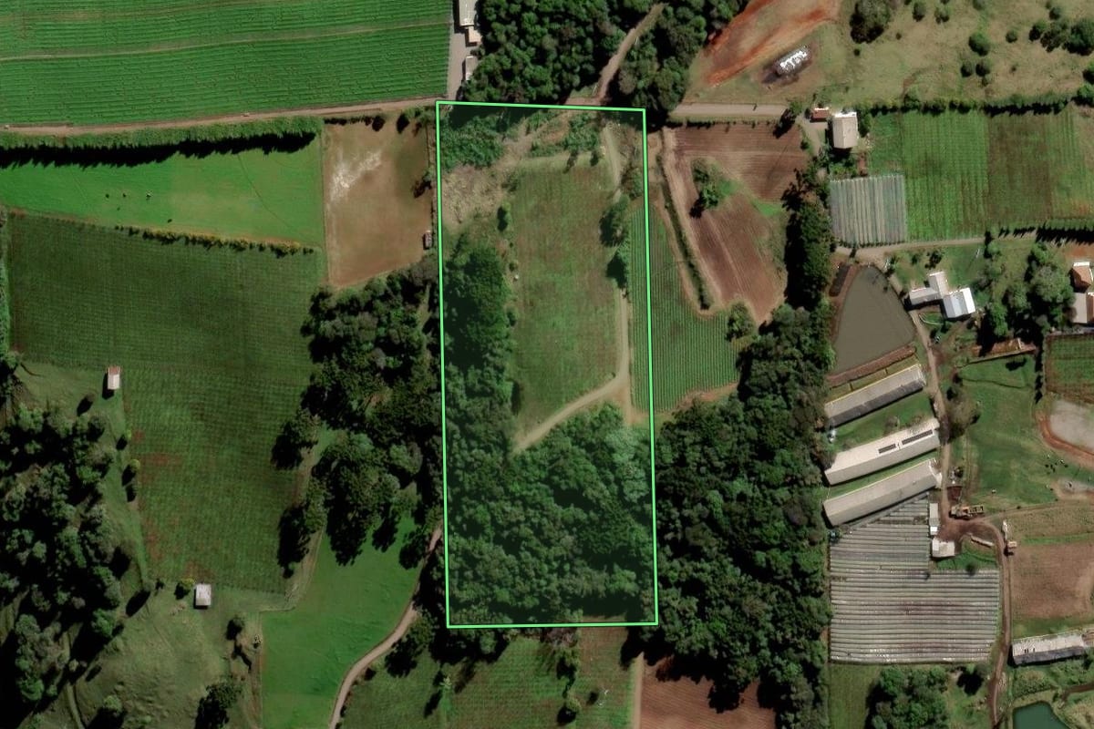 Imagem de satélite do imóvel rural em Nova Pádua (RS), com o contorno declarado no CAR desenhado por cima.