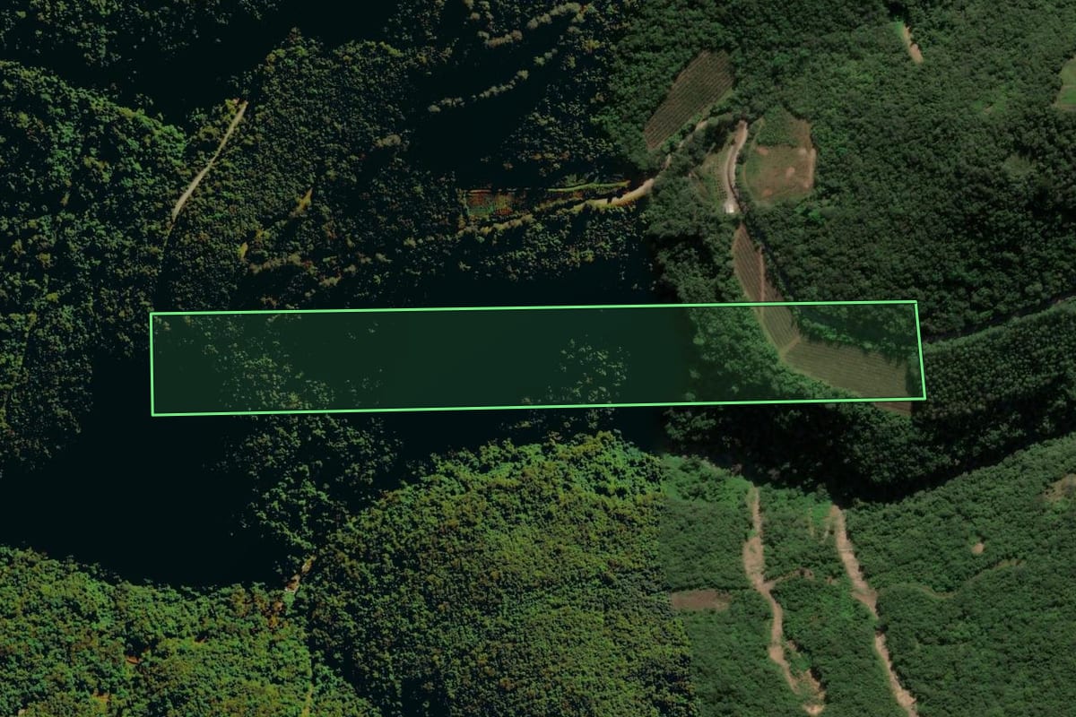 Imagem de satélite do imóvel rural em Nova Pádua (RS), com o contorno declarado no CAR desenhado por cima.
