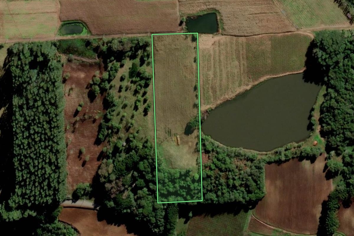 Imagem de satélite do imóvel rural em Nova Pádua (RS), com o contorno declarado no CAR desenhado por cima.