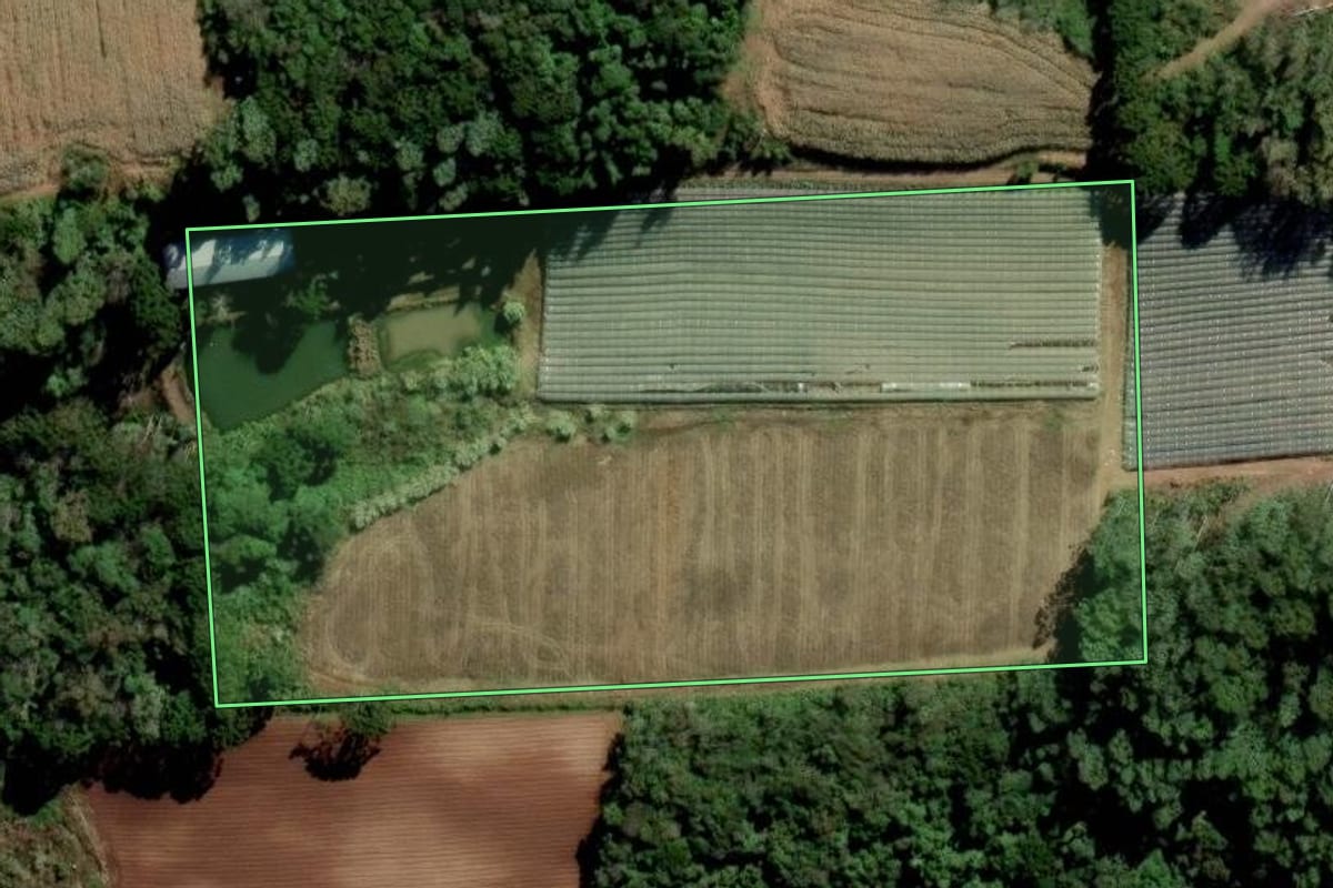 Imagem de satélite do imóvel rural em Nova Pádua (RS), com o contorno declarado no CAR desenhado por cima.