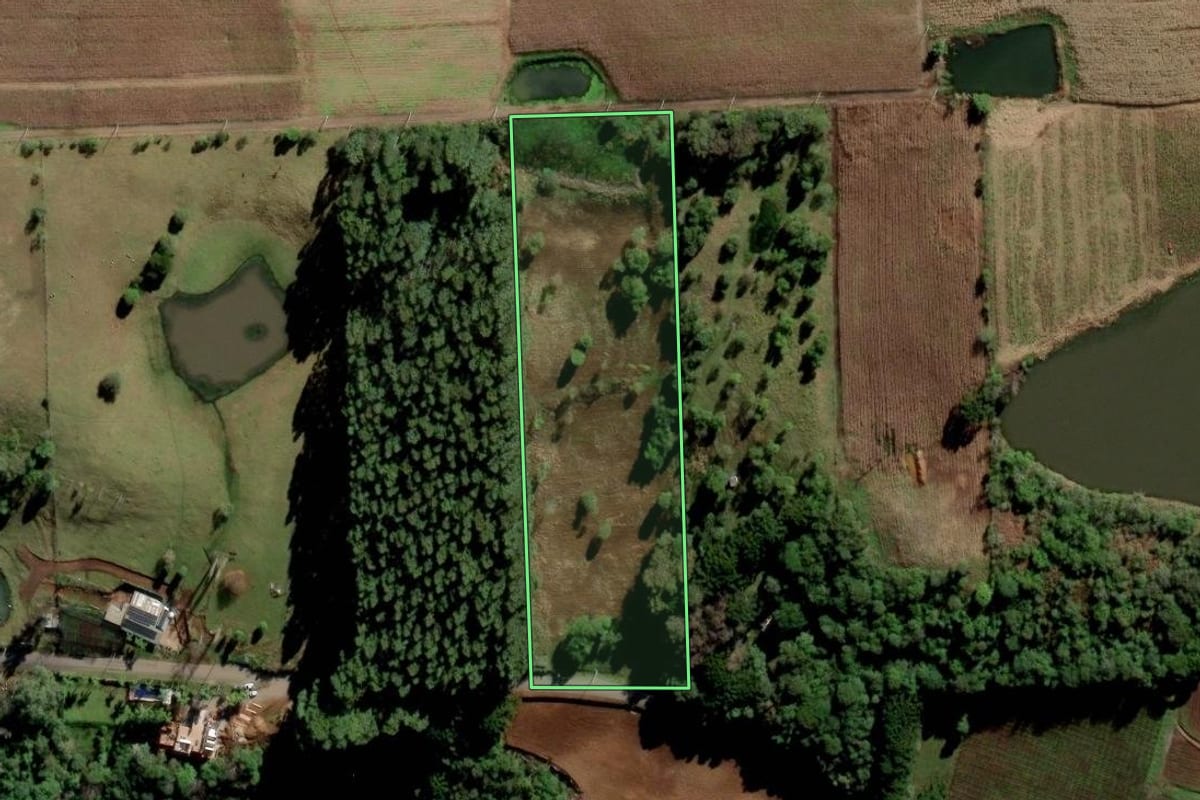 Imagem de satélite do imóvel rural em Nova Pádua (RS), com o contorno declarado no CAR desenhado por cima.