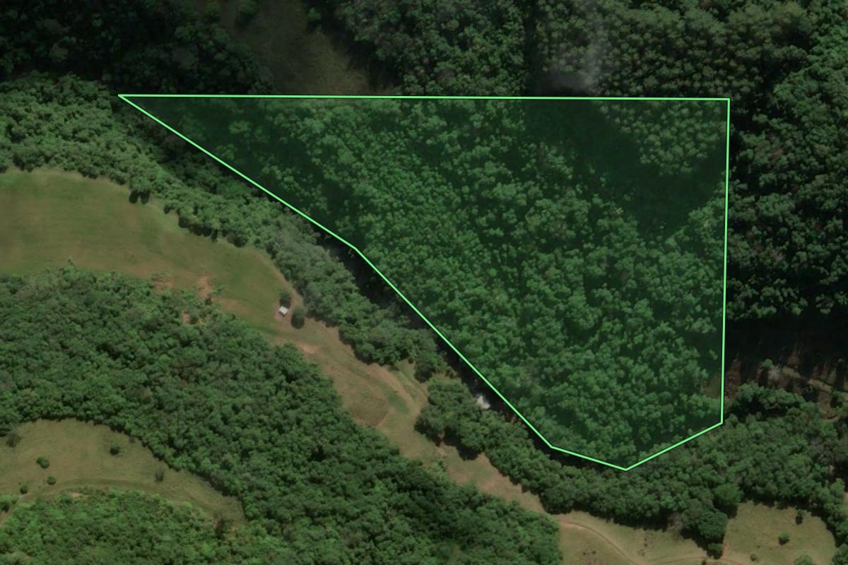 Imagem de satélite do imóvel rural em Nova Pádua (RS), com o contorno declarado no CAR desenhado por cima.