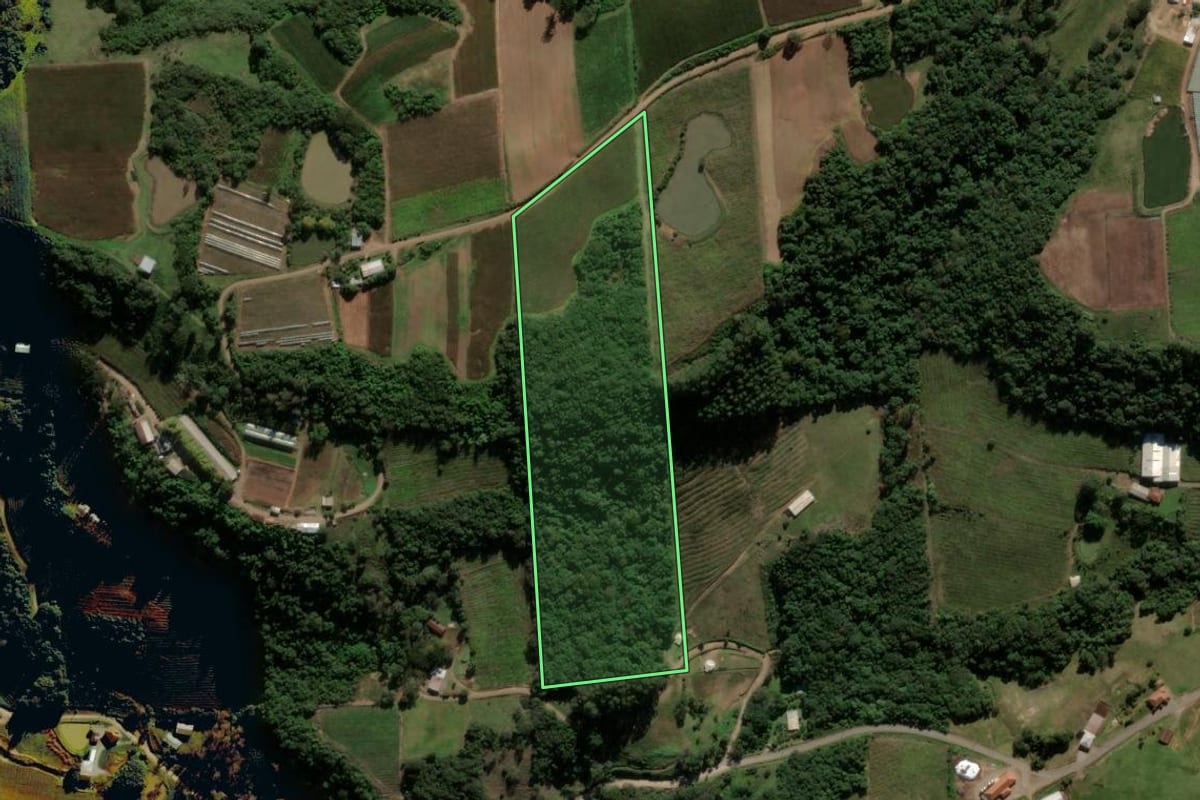 Imagem de satélite do imóvel rural em Nova Pádua (RS), com o contorno declarado no CAR desenhado por cima.