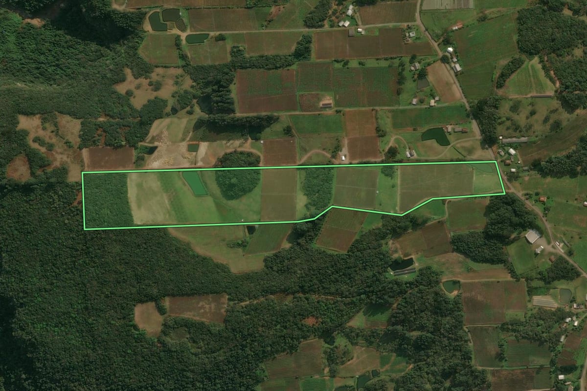 Imagem de satélite do imóvel rural em Nova Pádua (RS), com o contorno declarado no CAR desenhado por cima.