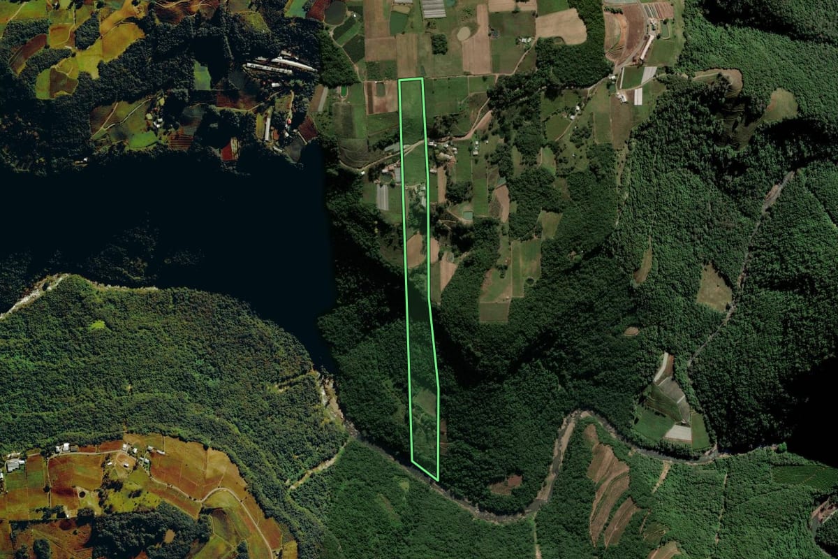 Imagem de satélite do imóvel rural em Nova Pádua (RS), com o contorno declarado no CAR desenhado por cima.