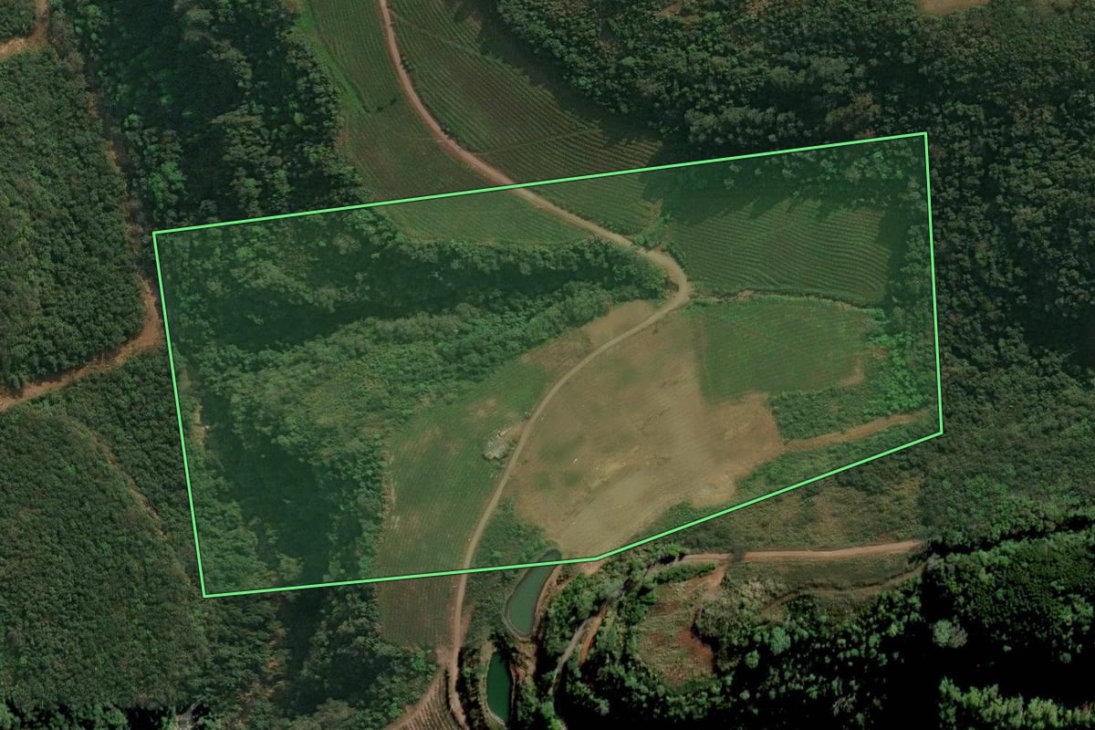 Imagem de satélite do imóvel rural em Nova Pádua (RS), com o contorno declarado no CAR desenhado por cima.