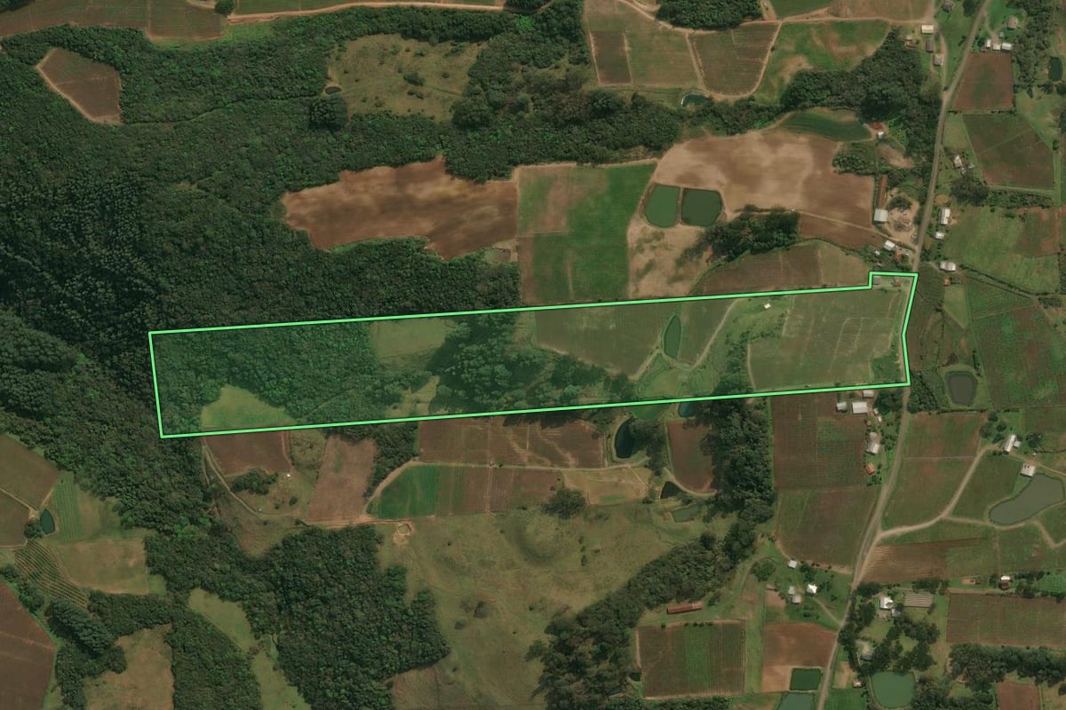 Imagem de satélite do imóvel rural em Nova Pádua (RS), com o contorno declarado no CAR desenhado por cima.