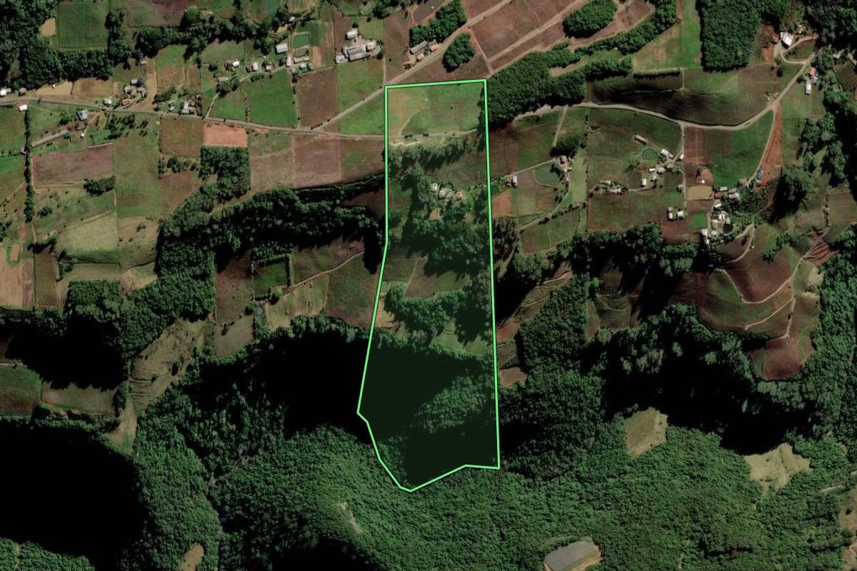 Imagem de satélite do imóvel rural em Nova Pádua (RS), com o contorno declarado no CAR desenhado por cima.