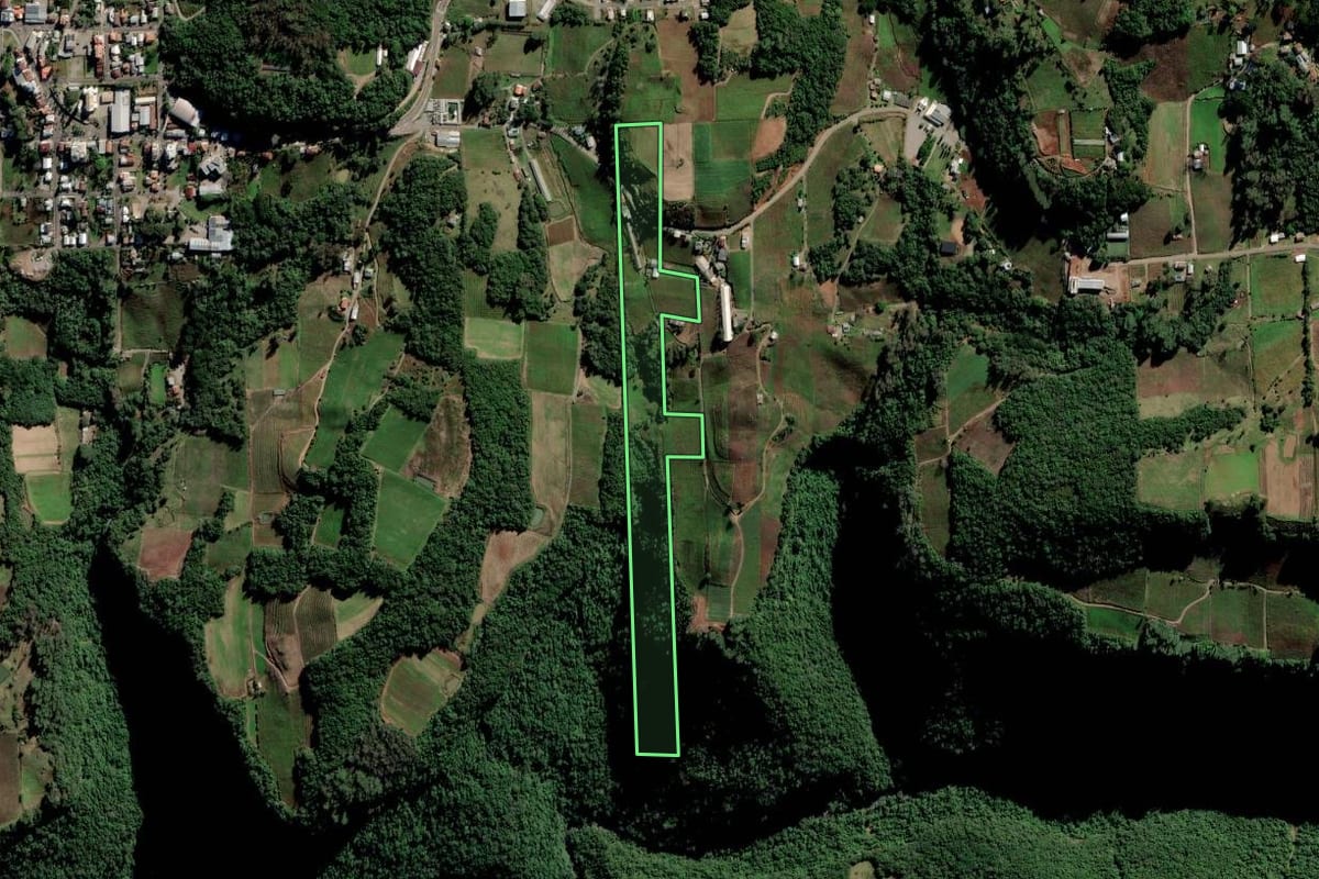 Imagem de satélite do imóvel rural em Nova Pádua (RS), com o contorno declarado no CAR desenhado por cima.