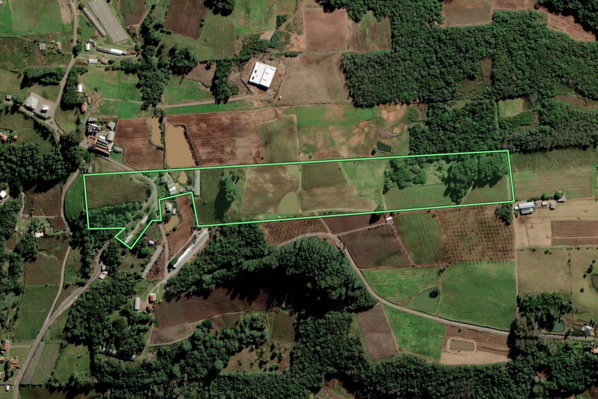 Imagem de satélite do imóvel rural em Nova Pádua (RS), com o contorno declarado no CAR desenhado por cima.