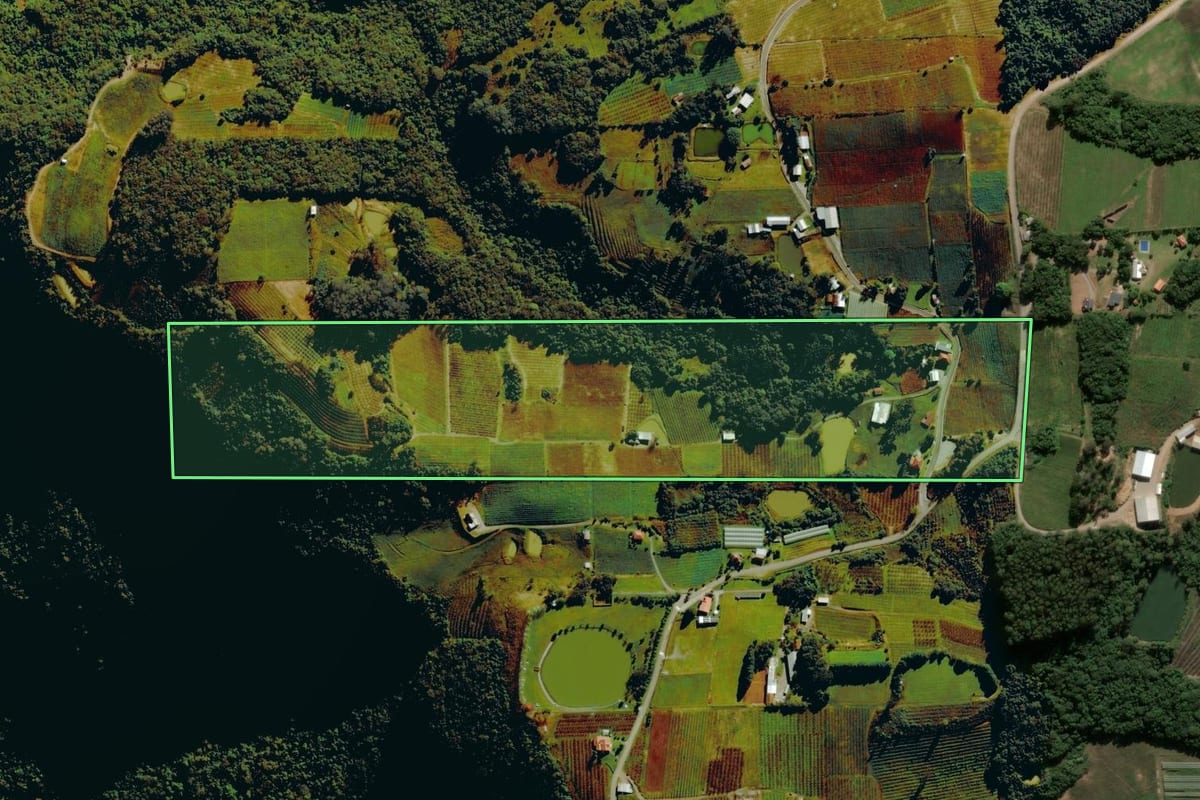 Imagem de satélite do imóvel rural em Nova Pádua (RS), com o contorno declarado no CAR desenhado por cima.
