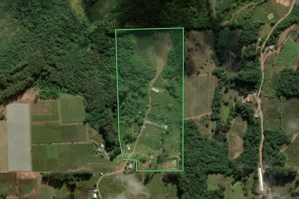 Imagem de satélite do imóvel rural em Nova Pádua (RS), com o contorno declarado no CAR desenhado por cima.