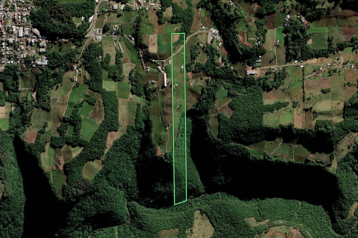 Imagem de satélite do imóvel rural em Nova Pádua (RS), com o contorno declarado no CAR desenhado por cima.