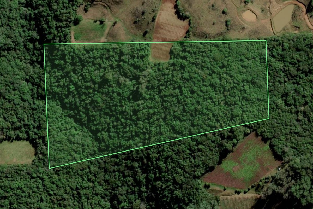 Imagem de satélite do imóvel rural em Nova Pádua (RS), com o contorno declarado no CAR desenhado por cima.