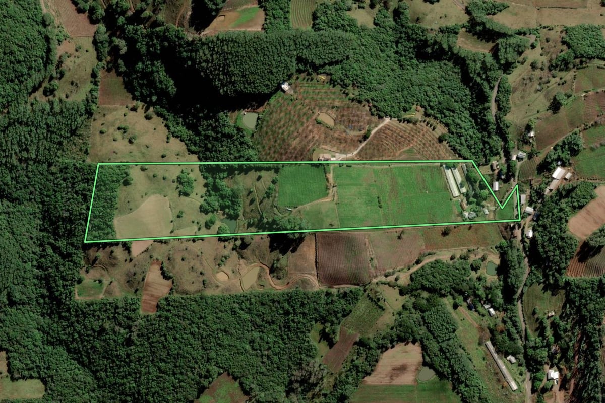 Imagem de satélite do imóvel rural em Nova Pádua (RS), com o contorno declarado no CAR desenhado por cima.