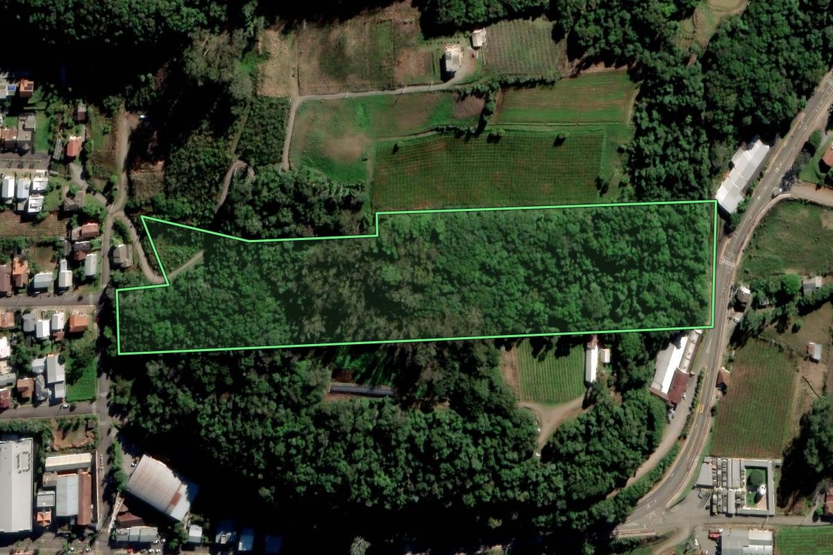 Imagem de satélite do imóvel rural em Nova Pádua (RS), com o contorno declarado no CAR desenhado por cima.