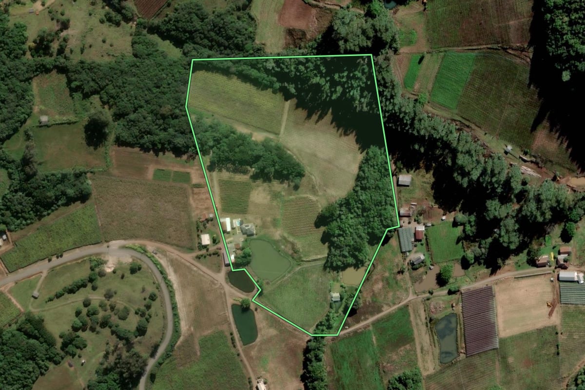 Imagem de satélite do imóvel rural em Nova Pádua (RS), com o contorno declarado no CAR desenhado por cima.