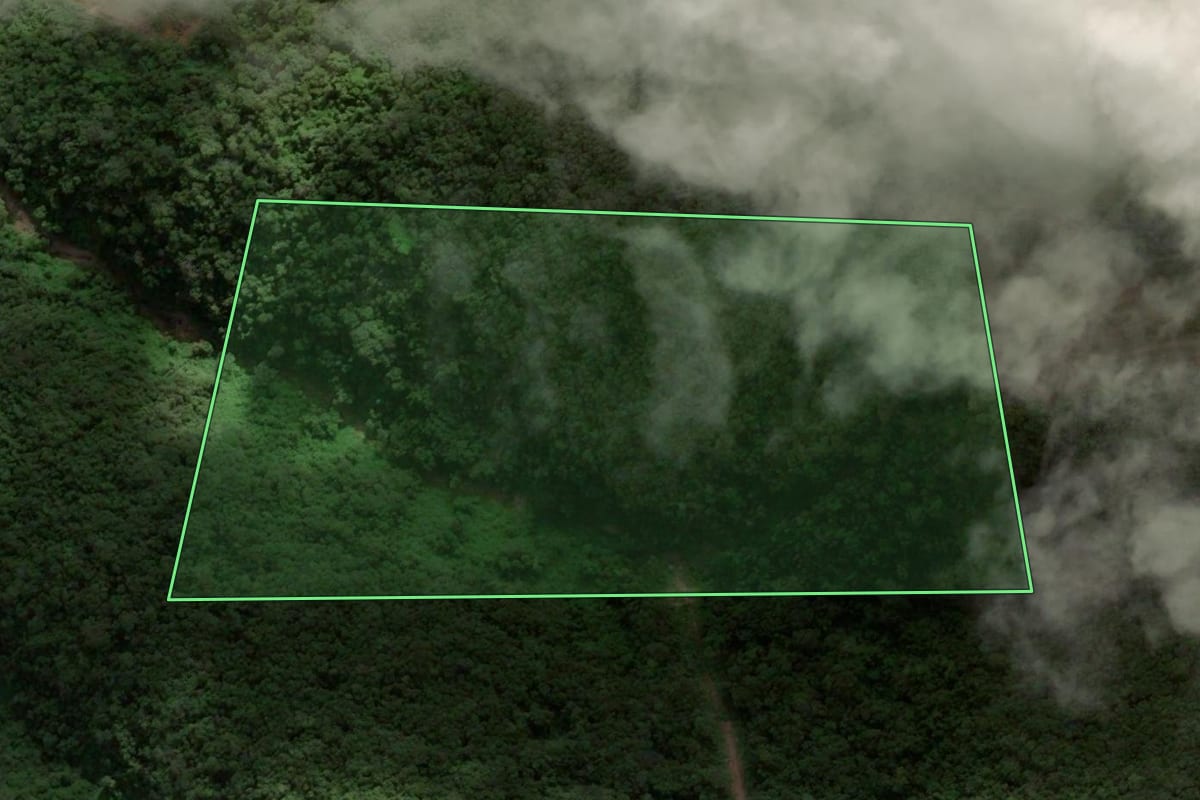 Imagem de satélite do imóvel rural em Nova Pádua (RS), com o contorno declarado no CAR desenhado por cima.