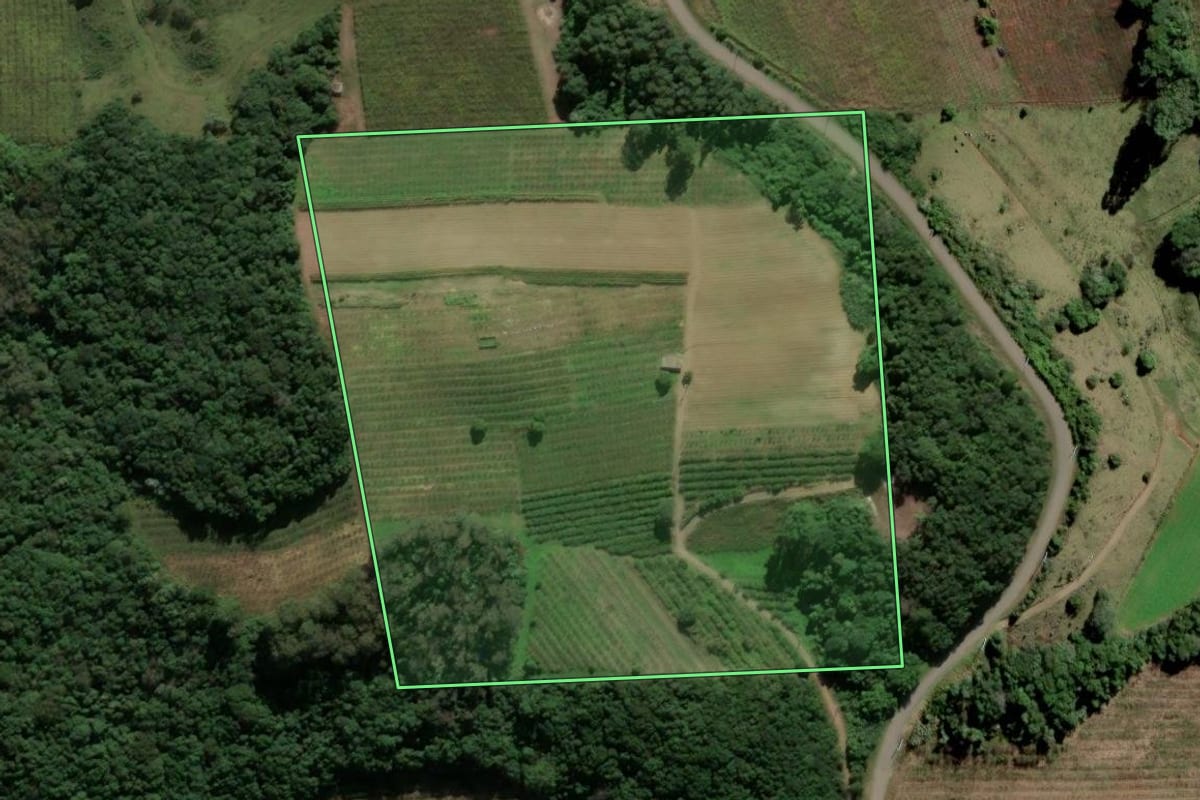 Imagem de satélite do imóvel rural em Nova Pádua (RS), com o contorno declarado no CAR desenhado por cima.