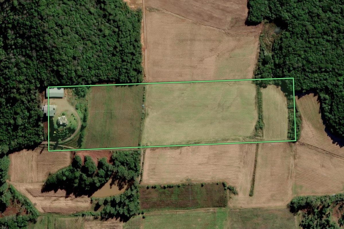 Imagem de satélite do imóvel rural em Nova Pádua (RS), com o contorno declarado no CAR desenhado por cima.