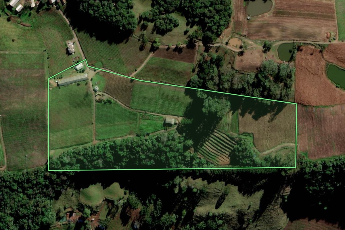 Imagem de satélite do imóvel rural em Nova Pádua (RS), com o contorno declarado no CAR desenhado por cima.