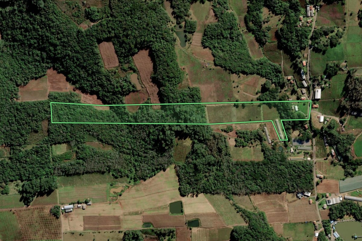 Imagem de satélite do imóvel rural em Nova Pádua (RS), com o contorno declarado no CAR desenhado por cima.