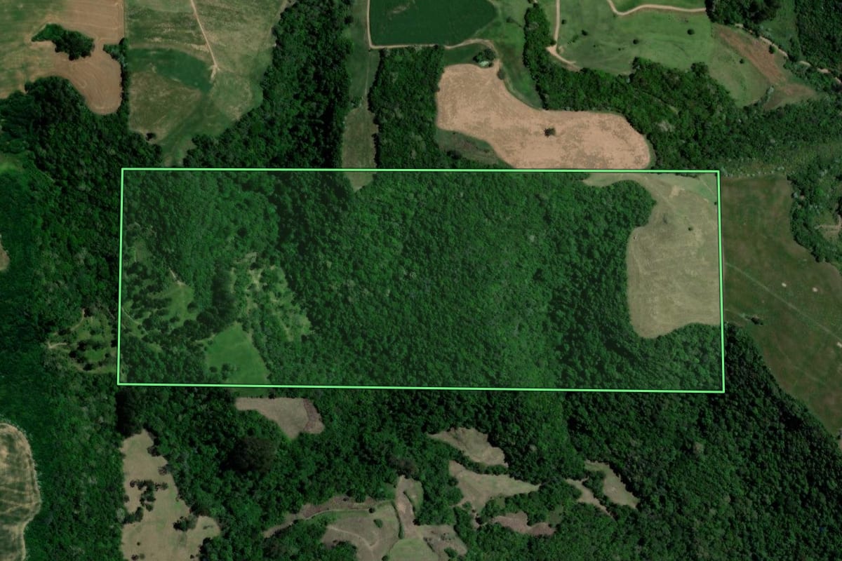 Imagem de satélite do imóvel rural em Nova Palma (RS), com o contorno declarado no CAR desenhado por cima.