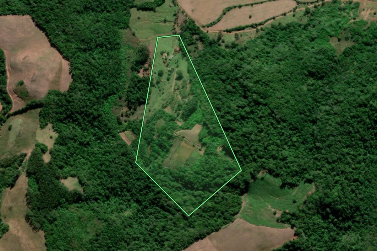 Imagem de satélite do imóvel rural em Nova Palma (RS), com o contorno declarado no CAR desenhado por cima.