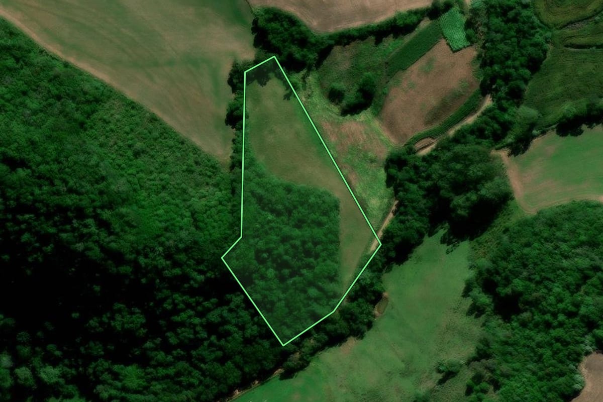 Imagem de satélite do imóvel rural em Nova Palma (RS), com o contorno declarado no CAR desenhado por cima.