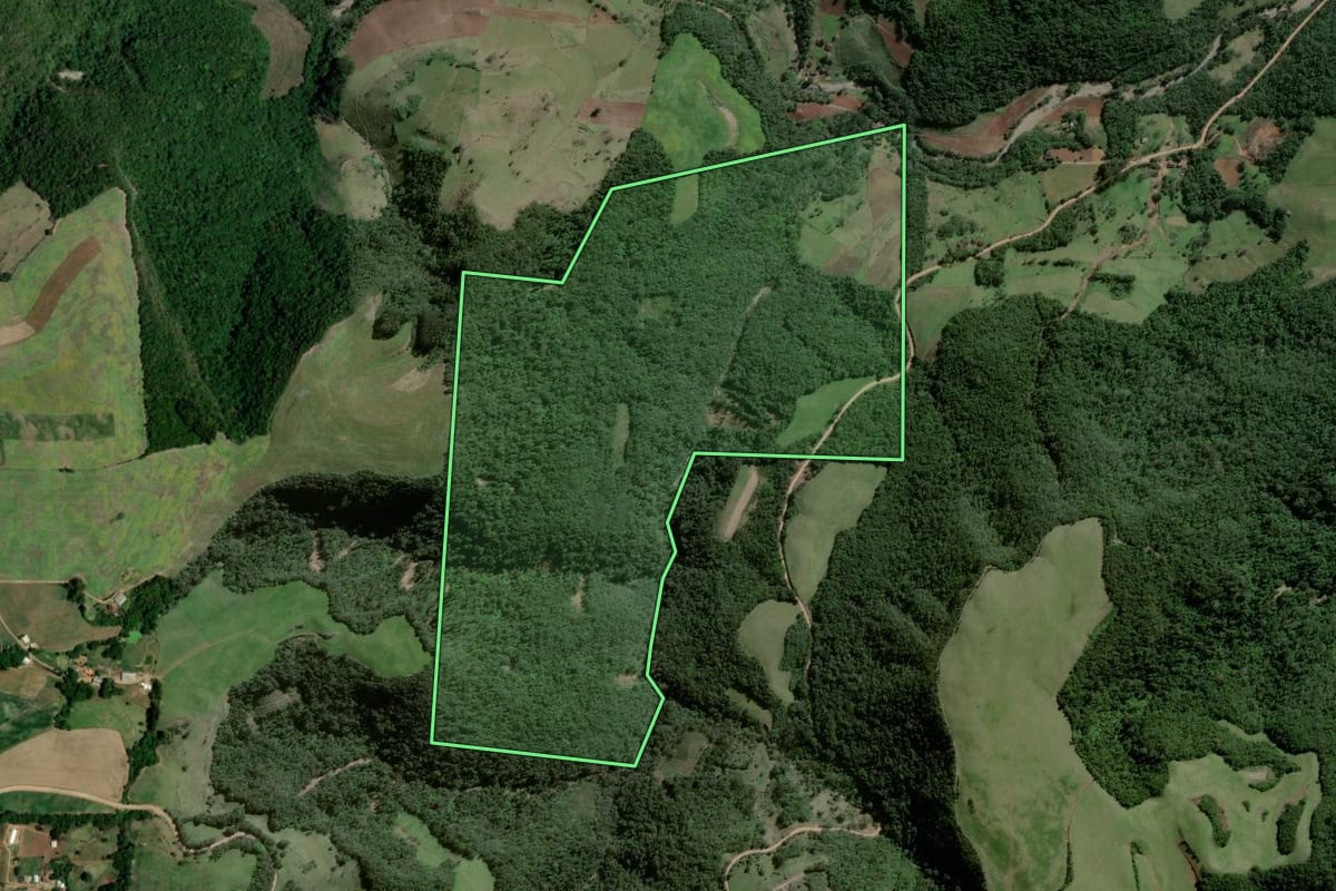 Imagem de satélite do imóvel rural em Nova Palma (RS), com o contorno declarado no CAR desenhado por cima.