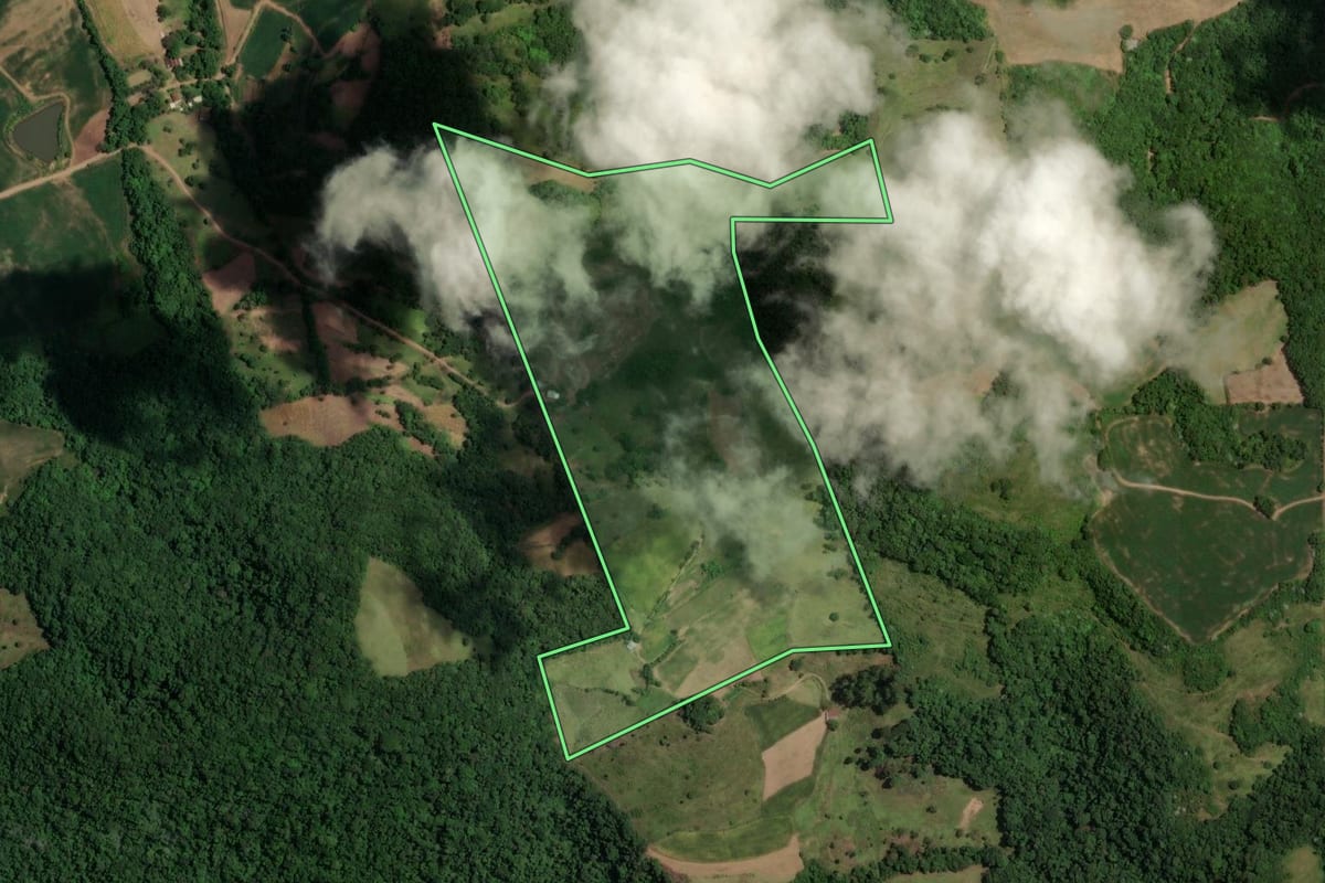 Imagem de satélite do imóvel rural em Nova Palma (RS), com o contorno declarado no CAR desenhado por cima.