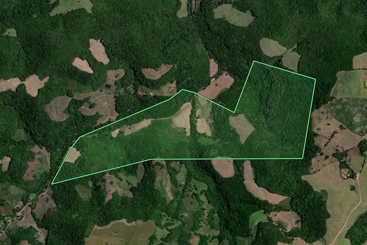 Imagem de satélite do imóvel rural em Nova Palma (RS), com o contorno declarado no CAR desenhado por cima.