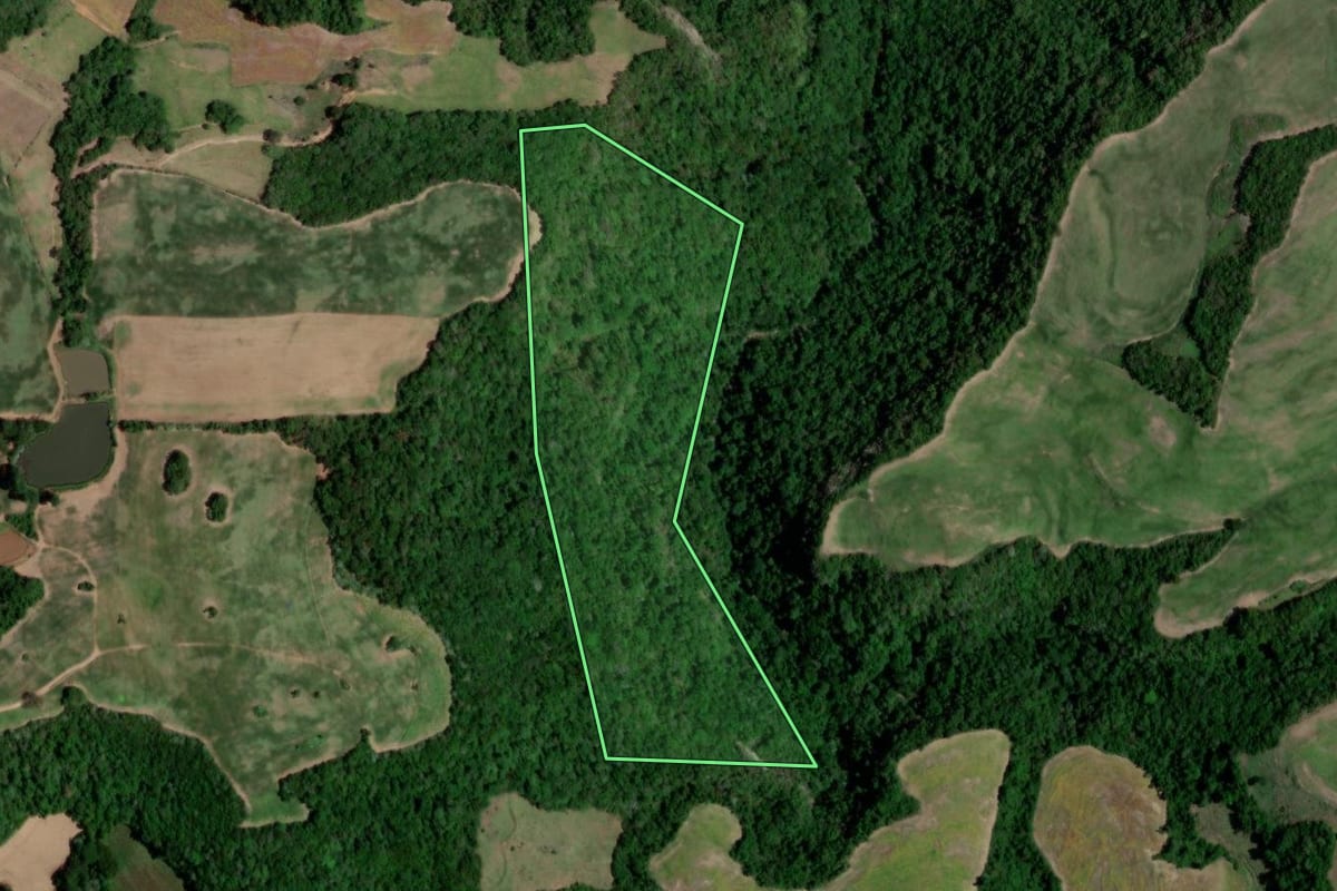Imagem de satélite do imóvel rural em Nova Palma (RS), com o contorno declarado no CAR desenhado por cima.