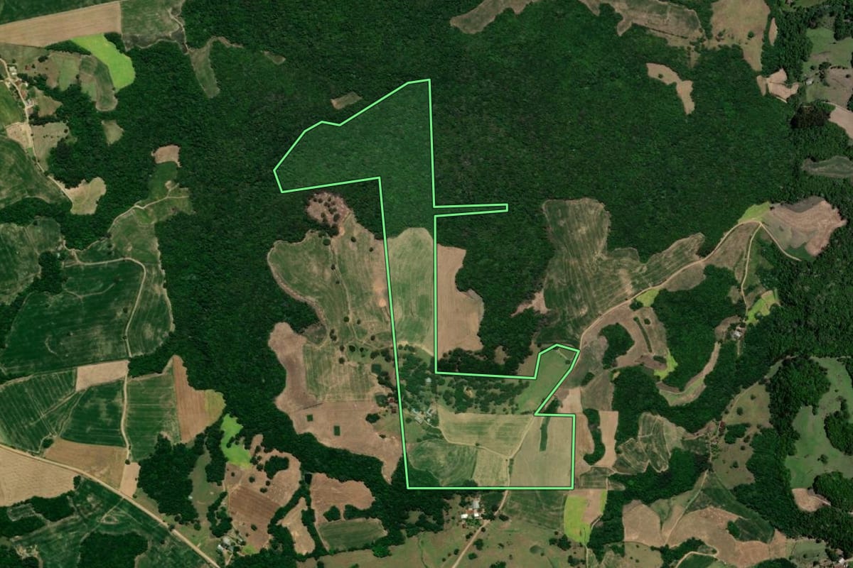 Imagem de satélite do imóvel rural em Nova Palma (RS), com o contorno declarado no CAR desenhado por cima.