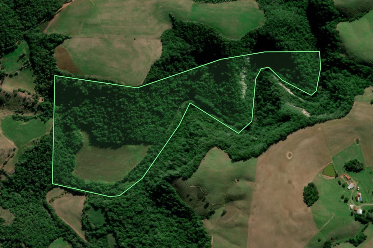 Imagem de satélite do imóvel rural em Nova Palma (RS), com o contorno declarado no CAR desenhado por cima.