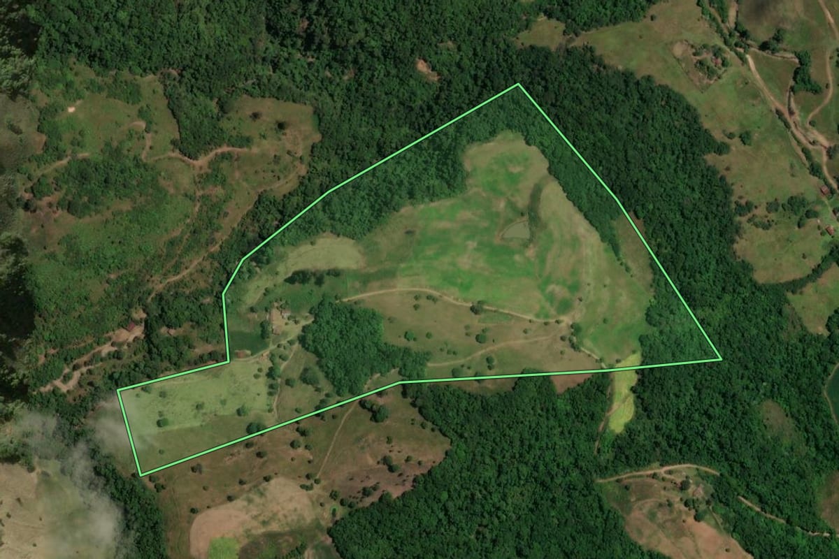 Imagem de satélite do imóvel rural em Nova Palma (RS), com o contorno declarado no CAR desenhado por cima.