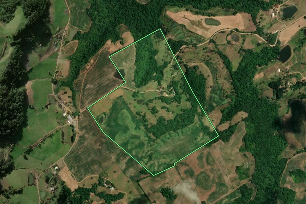 Imagem de satélite do imóvel rural em Nova Palma (RS), com o contorno declarado no CAR desenhado por cima.