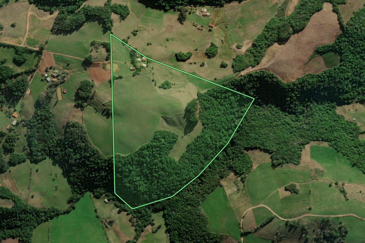 Imagem de satélite do imóvel rural em Nova Palma (RS), com o contorno declarado no CAR desenhado por cima.