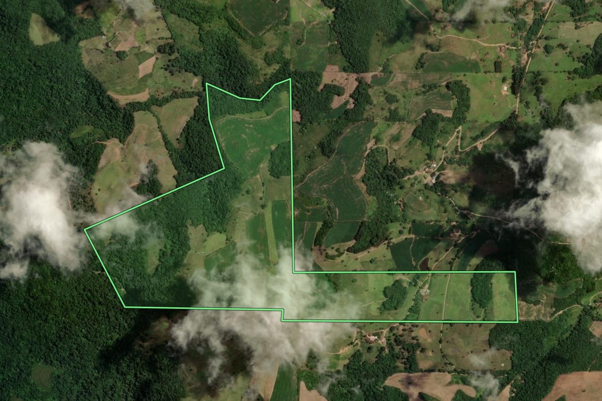 Imagem de satélite do imóvel rural em Nova Palma (RS), com o contorno declarado no CAR desenhado por cima.