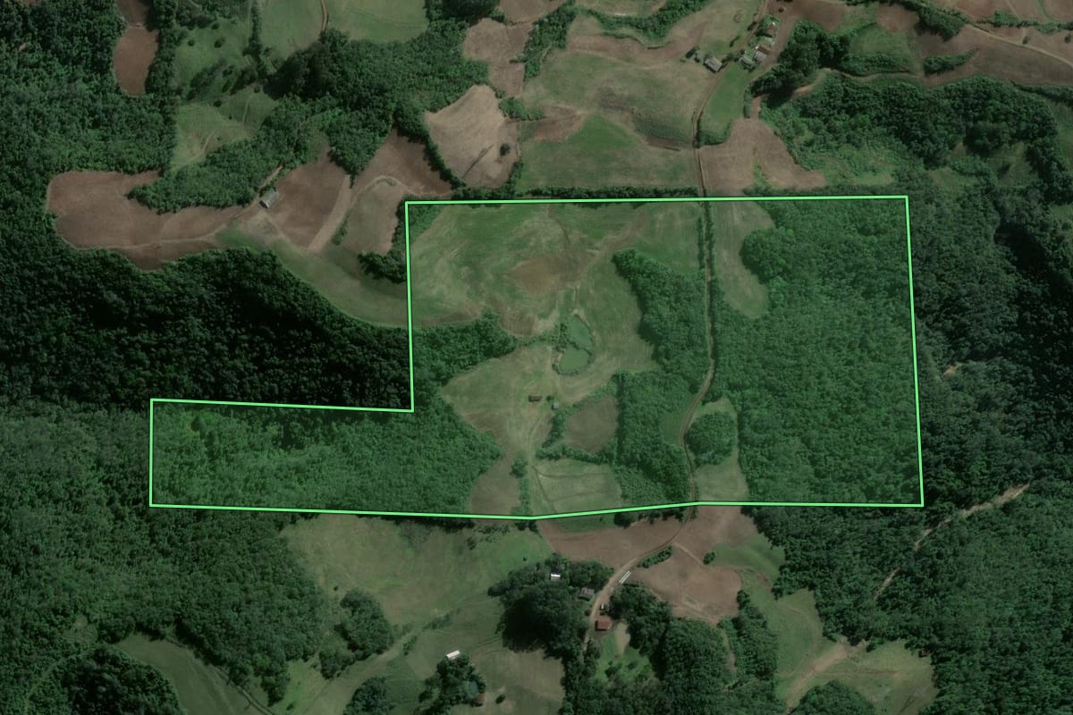 Imagem de satélite do imóvel rural em Nova Palma (RS), com o contorno declarado no CAR desenhado por cima.