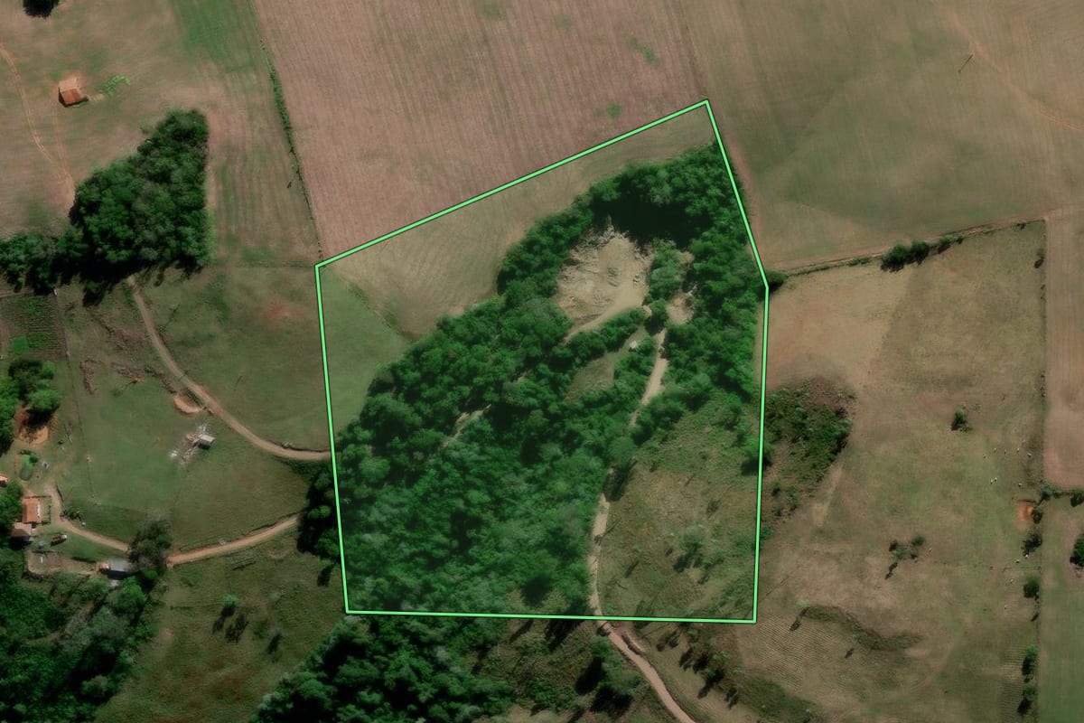 Imagem de satélite do imóvel rural em Nova Palma (RS), com o contorno declarado no CAR desenhado por cima.