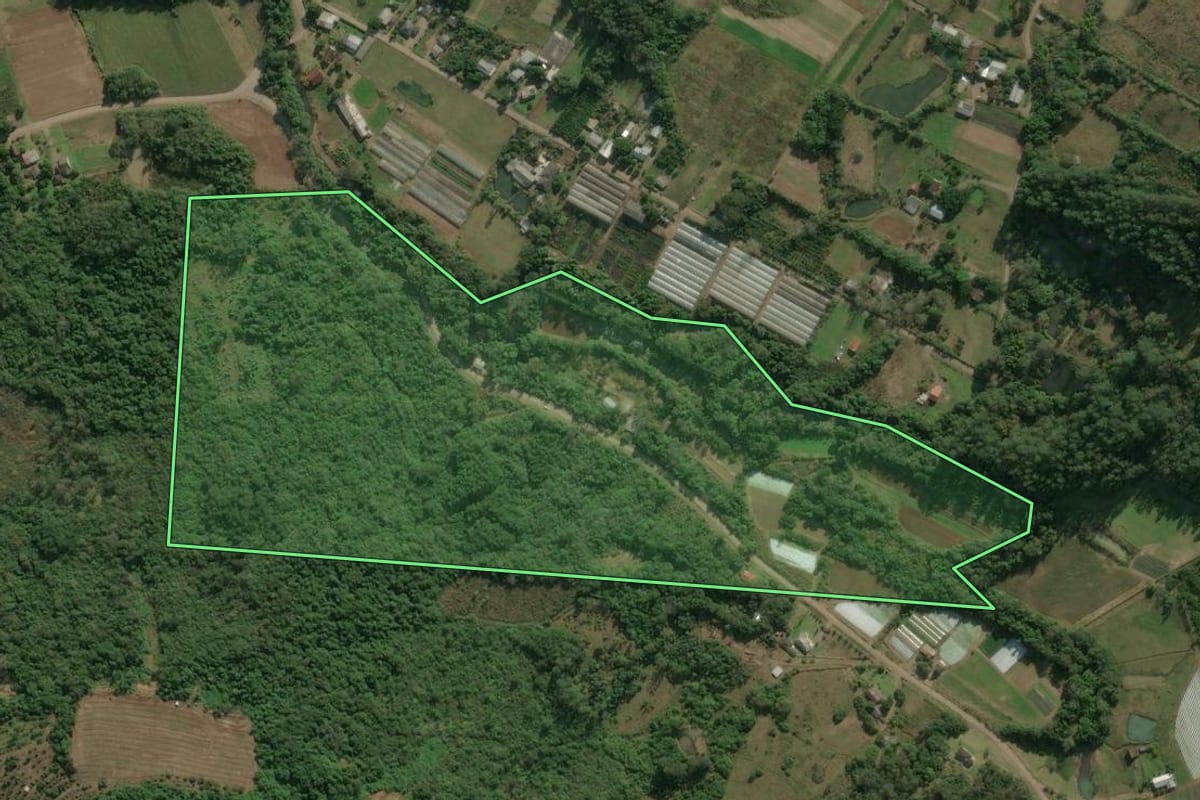 Imagem de satélite do imóvel rural em Nova Petrópolis (RS), com o contorno declarado no CAR desenhado por cima.