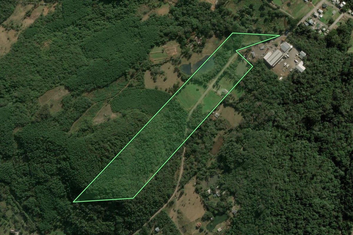 Imagem de satélite do imóvel rural em Nova Petrópolis (RS), com o contorno declarado no CAR desenhado por cima.