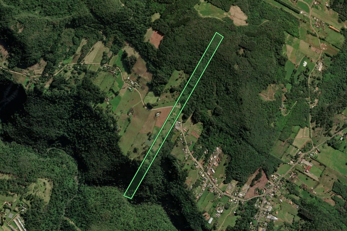 Imagem de satélite do imóvel rural em Nova Petrópolis (RS), com o contorno declarado no CAR desenhado por cima.