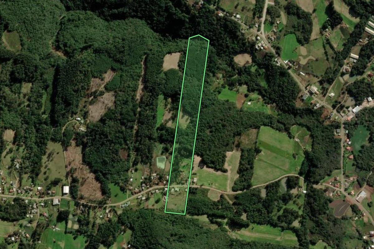 Imagem de satélite do imóvel rural em Nova Petrópolis (RS), com o contorno declarado no CAR desenhado por cima.