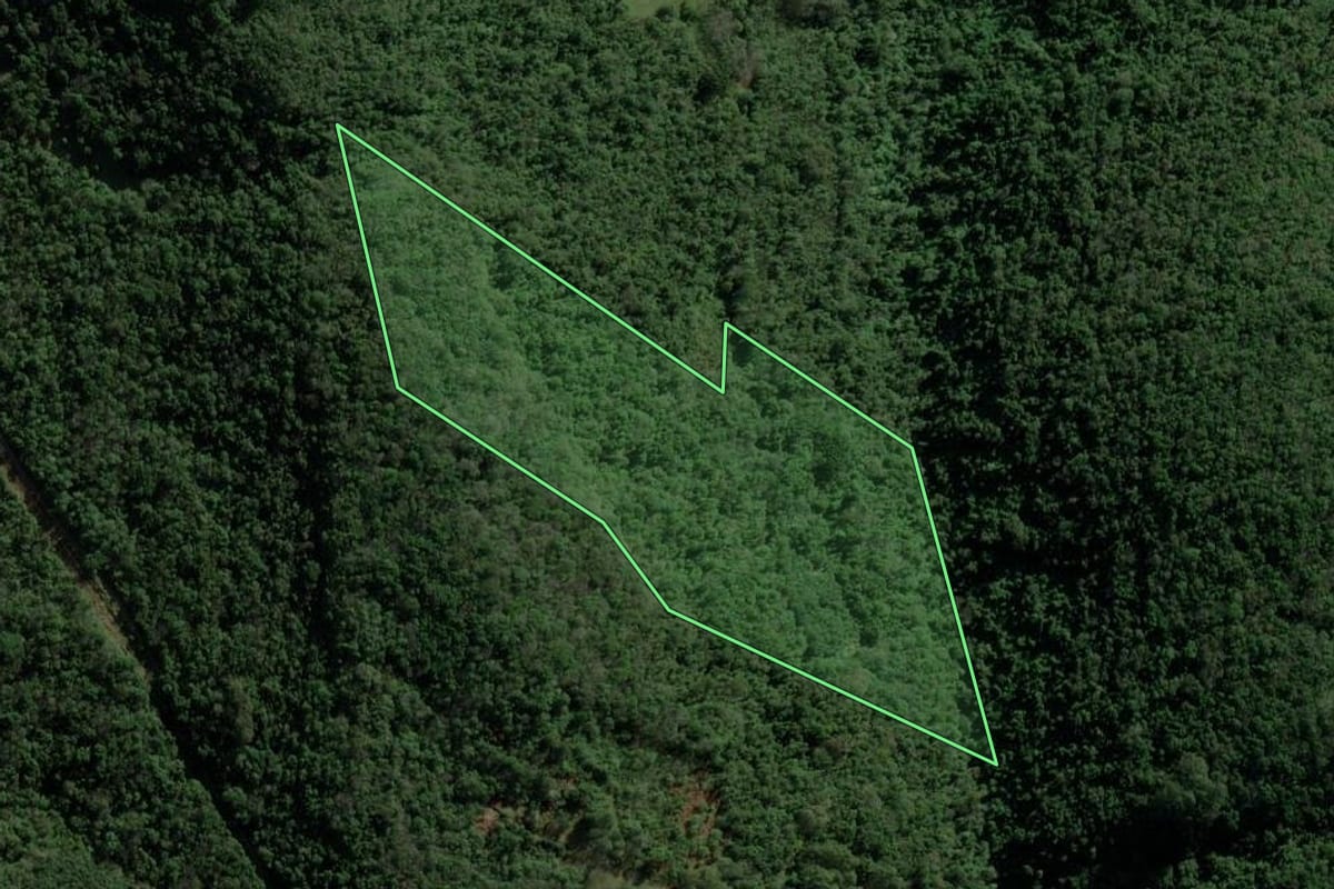 Imagem de satélite do imóvel rural em Nova Petrópolis (RS), com o contorno declarado no CAR desenhado por cima.