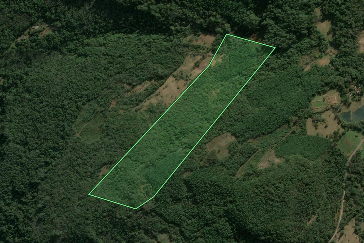Imagem de satélite do imóvel rural em Nova Petrópolis (RS), com o contorno declarado no CAR desenhado por cima.