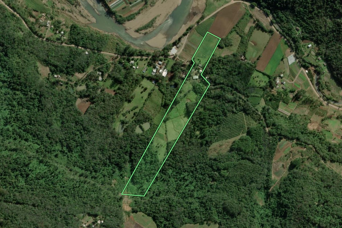 Imagem de satélite do imóvel rural em Nova Petrópolis (RS), com o contorno declarado no CAR desenhado por cima.