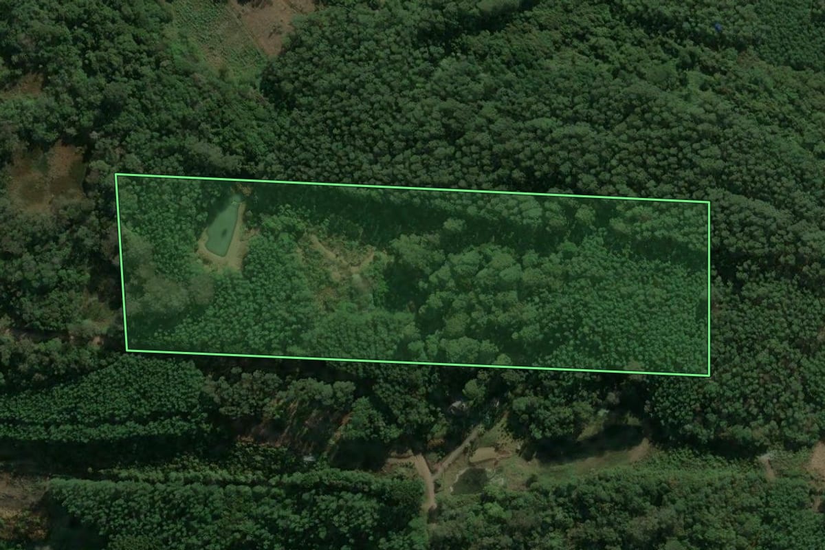 Imagem de satélite do imóvel rural em Nova Petrópolis (RS), com o contorno declarado no CAR desenhado por cima.