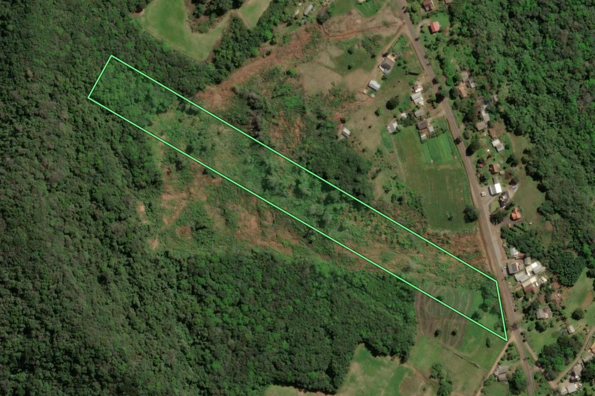Imagem de satélite do imóvel rural em Nova Petrópolis (RS), com o contorno declarado no CAR desenhado por cima.